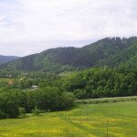 Herrlicher Ausblick vom Winterhaldenhof auf die Schenkenburg
